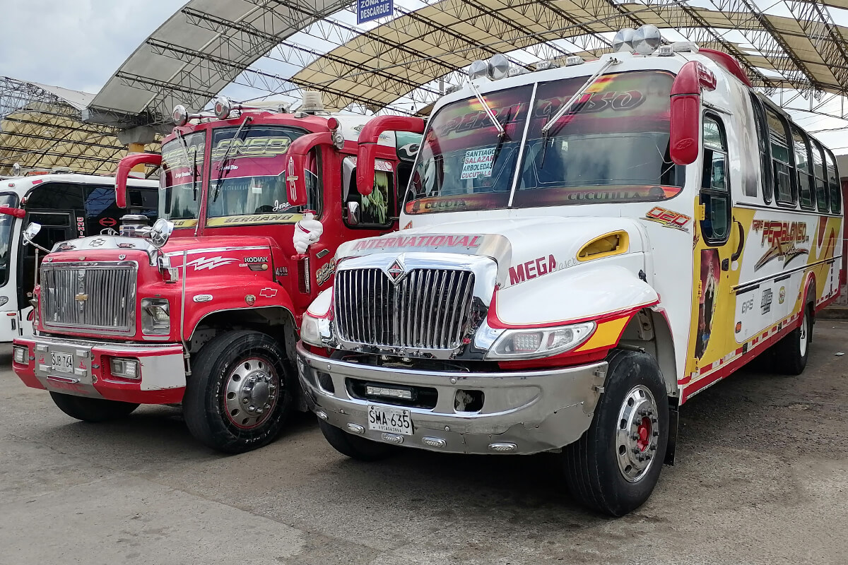 buses peralonso cucuta 2